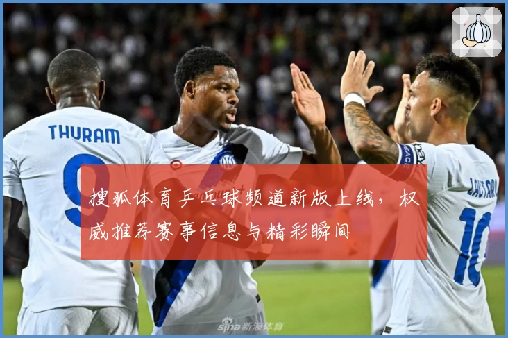 搜狐体育乒乓球频道新版上线，权威推荐赛事信息与精彩瞬间