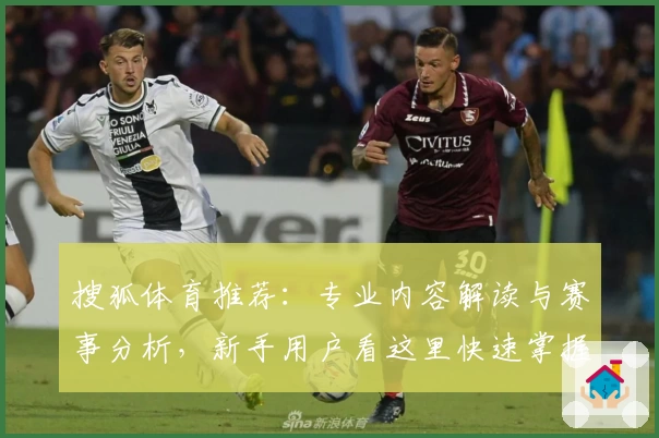 搜狐体育推荐：专业内容解读与赛事分析，新手用户看这里快速掌握实用技巧