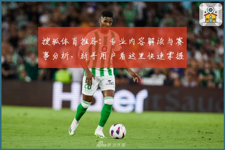 搜狐体育推荐：专业内容解读与赛事分析，新手用户看这里快速掌握实用技巧