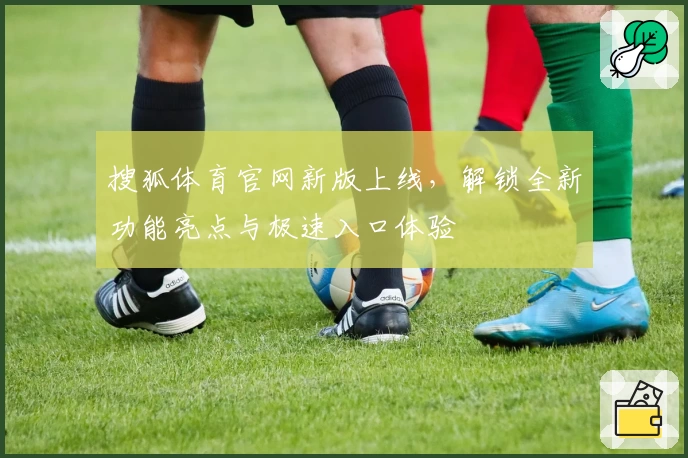 搜狐体育官网新版上线，解锁全新功能亮点与极速入口体验