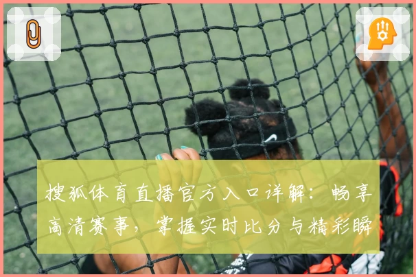 搜狐体育直播官方入口详解：畅享高清赛事，掌握实时比分与精彩瞬间