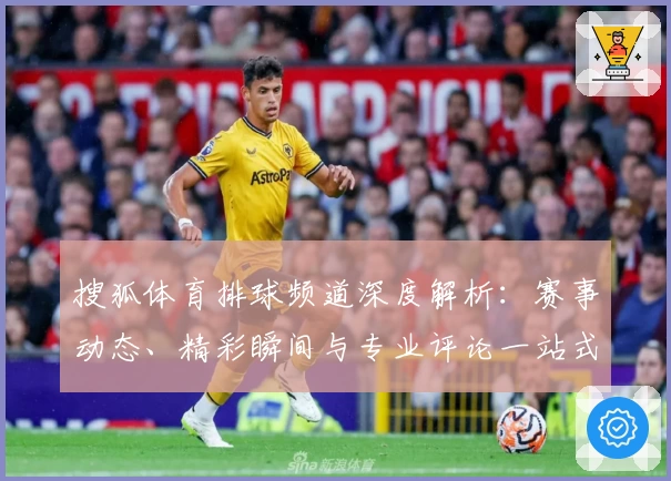 搜狐体育排球频道深度解析：赛事动态、精彩瞬间与专业评论一站式体验