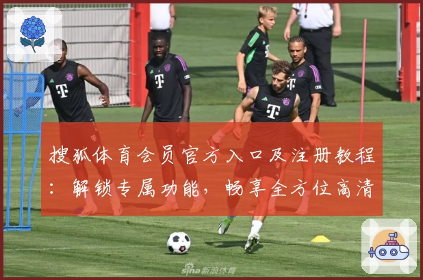 搜狐体育会员官方入口及注册教程：解锁专属功能，畅享全方位高清赛事体验