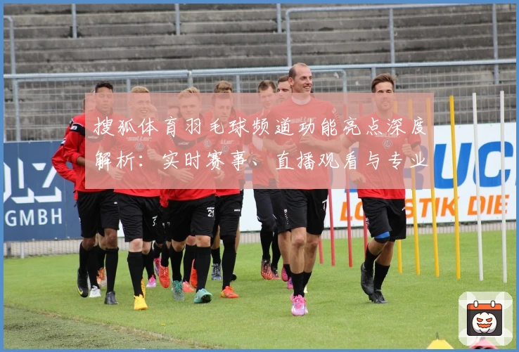 搜狐体育羽毛球频道功能亮点深度解析：实时赛事、直播观看与专业点评全覆盖