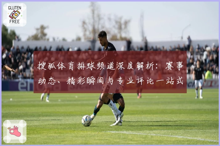 搜狐体育排球频道深度解析：赛事动态、精彩瞬间与专业评论一站式体验